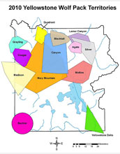 Map showing territories of Yellowstone wolf packs in 2010.