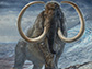 An adult male woolly mammoth navigates a mountain pass in Arctic Alaska, 17,100 years ago.