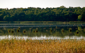 A dot on a map of the United States, Cherokee Marsh in Wisconsin is central to the Yahara watershed.