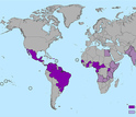 world map showing the spread of zika virus
