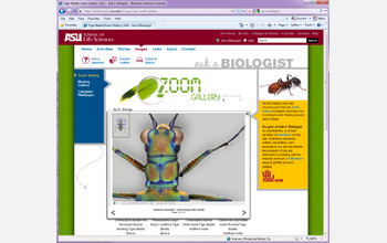 Interactive Zoom Gallery tool on the Ask a Biologist website.