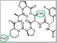 molecules called acyldepsipeptides