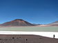 The Altiplano-Puna plateau in the central Andes