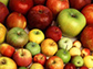 image of various apples
