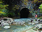 Emma Rosi sampling in a Baltimore stream