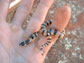 a banded snake