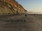 people walking on a beach