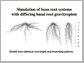 simulation of bean root systems