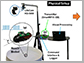 tracking the motion of a roach biobot