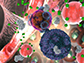 T cell (violet), makes contact with a transplant organ cell