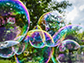 soap bubbles floating