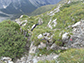 dark patch of rock on the left marks the Rauchkofel Boden trench