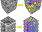 brain tissues (left); color-coded brain maps (right)