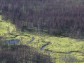 aerial view of boreal forests of Manitoba