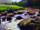 a view of the Cache La Poudre River