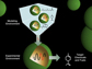 CAD-type tools for engineering RNA components