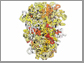 screen shoot of chromosome folding