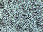 optical micrograph of perovskite crystal grains