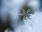 image of a crystal snowflake