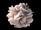 artist's rendering of  a human dendritic cell