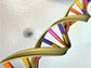 DNA Double Helix