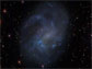 dwarf galaxy NGC 4395