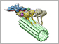 the dynein-dynactin complex (multi-color) motors down a microtubule (green)