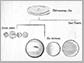 sketch illustrating a family tree of exoplanets