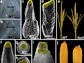 mazie ears showing the impact of FEA3 mutations