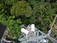 panoramic view of the forest canopies