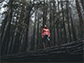 a lady standing on a long in the forest