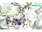 the amino acid glutamate attached to a specific region of its transfer RNA