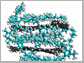 graphene space-filling model