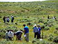 participants examine vegetation near Gillette