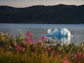 a scene in southern Greenland