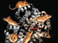 artist's conception of deer mouse hemoglobin
