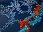 tiny interlocking chains (right, with chemical formulas at left)