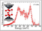 the vibrational spectrum of iron