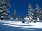 Jim Steenburgh skiing