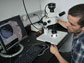 Leo Pena analyzing fossil plankton shells