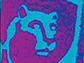 a Raman image of the Nittany Lion