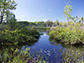 Little Pond, located in Royalston, Mass.