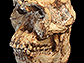 News thumbnail of a skull