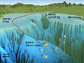 Monterey ocean bottom network