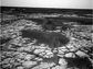 Martian surface