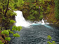 the McKenzie River