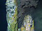 a hydrothermal vent, named 