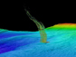 sonar image of bubbles rising from a seafloor
