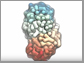 mitotic chromosome model