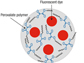 nanoparticle polymer made of peroxalate esters